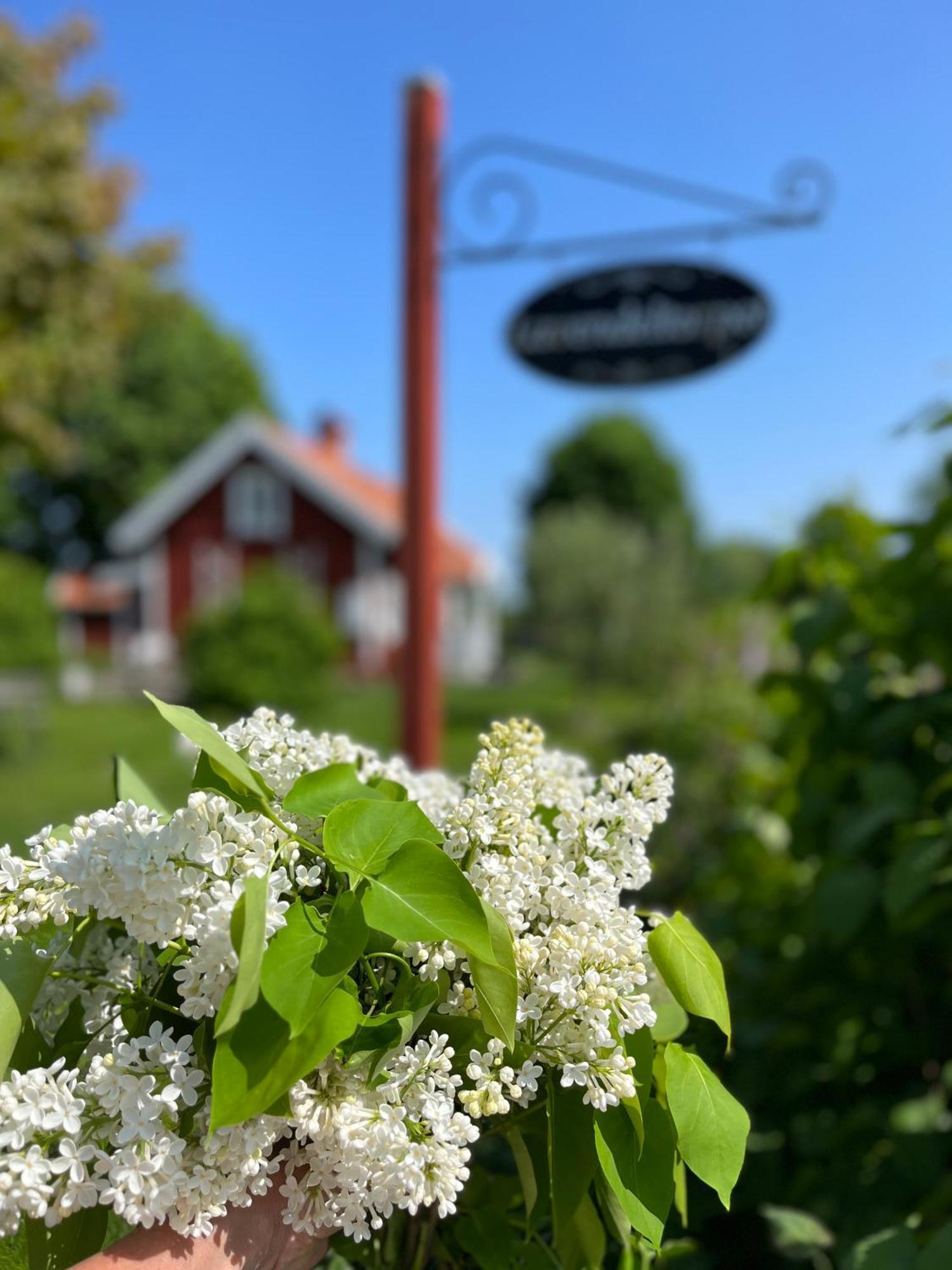 Bed and Breakfast Lavendeltorpet Haggum Екстер'єр фото