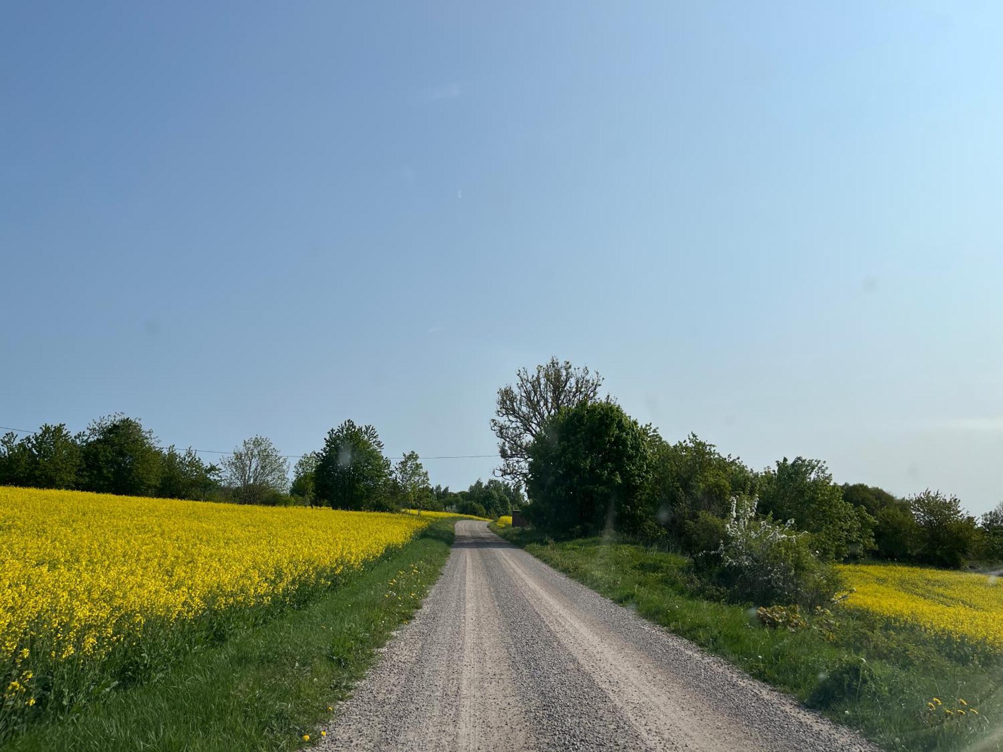 Bed and Breakfast Lavendeltorpet Haggum Екстер'єр фото